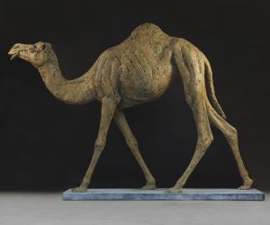 Camel Life-size 300513_0209